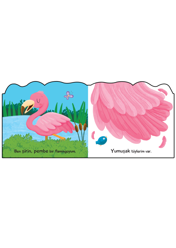 Şekilli Kitaplar – Flamingo - Görsel 2