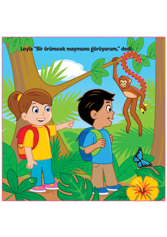Yapışkan İpler – Yağmur Ormanı Macerası - Görsel 2