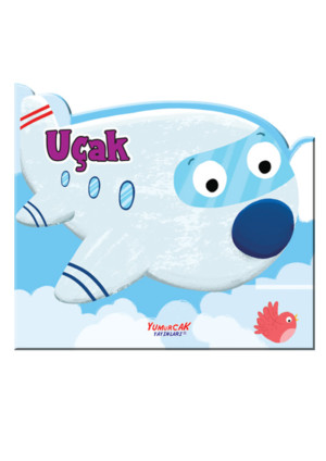 Şekilli Kitaplar – Uçak