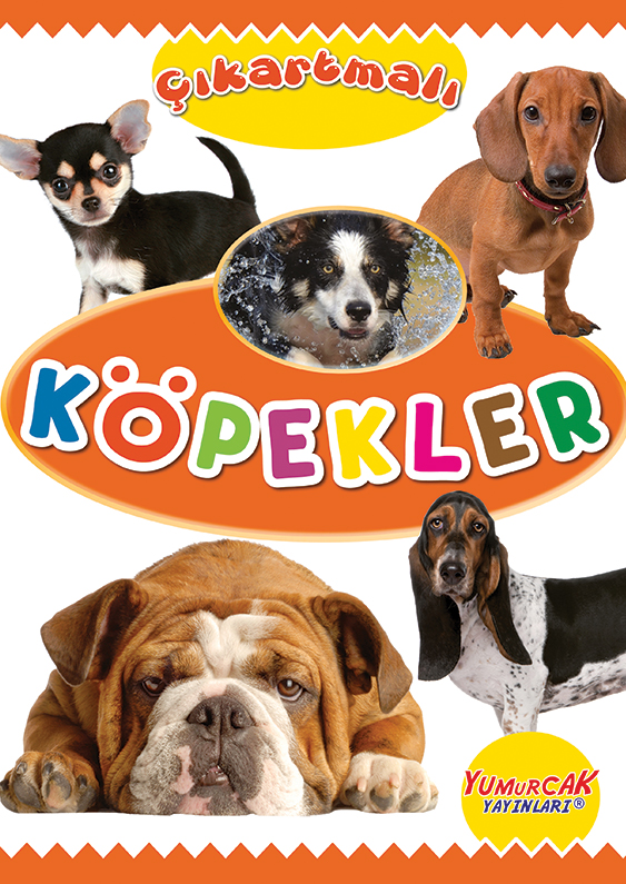 ÇIKARTMALI HAYVANLAR SERİSİ - Görsel 2