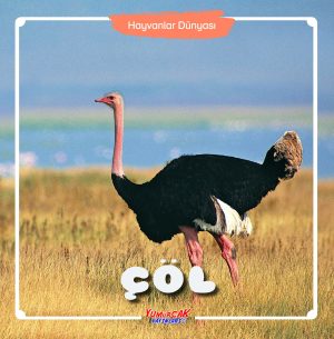 HD - Çöl
