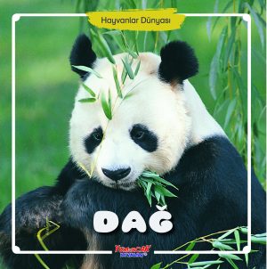 HD - Dağ