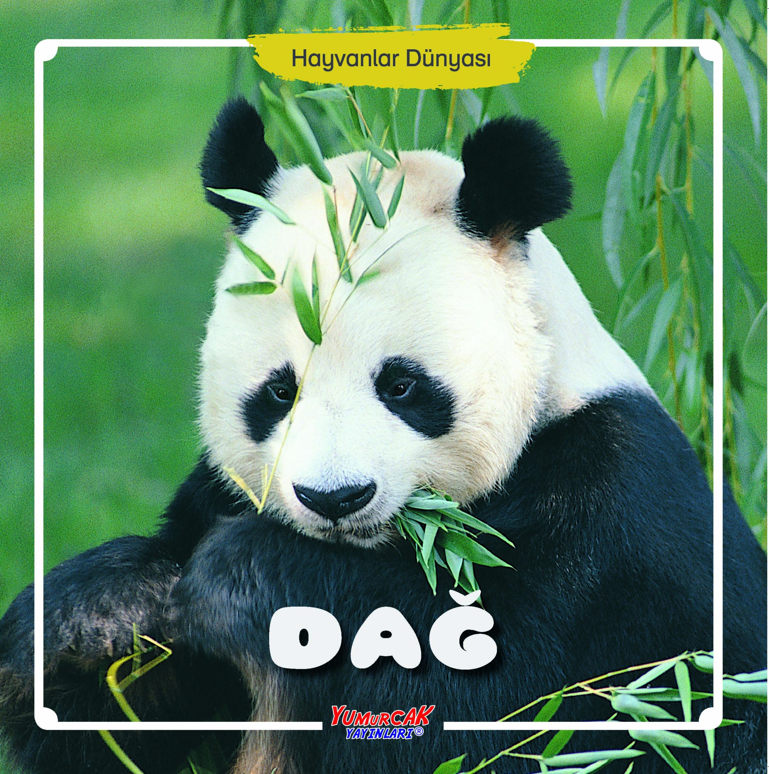 HD - Dağ