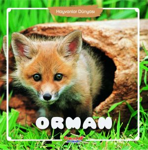 HD - Orman
