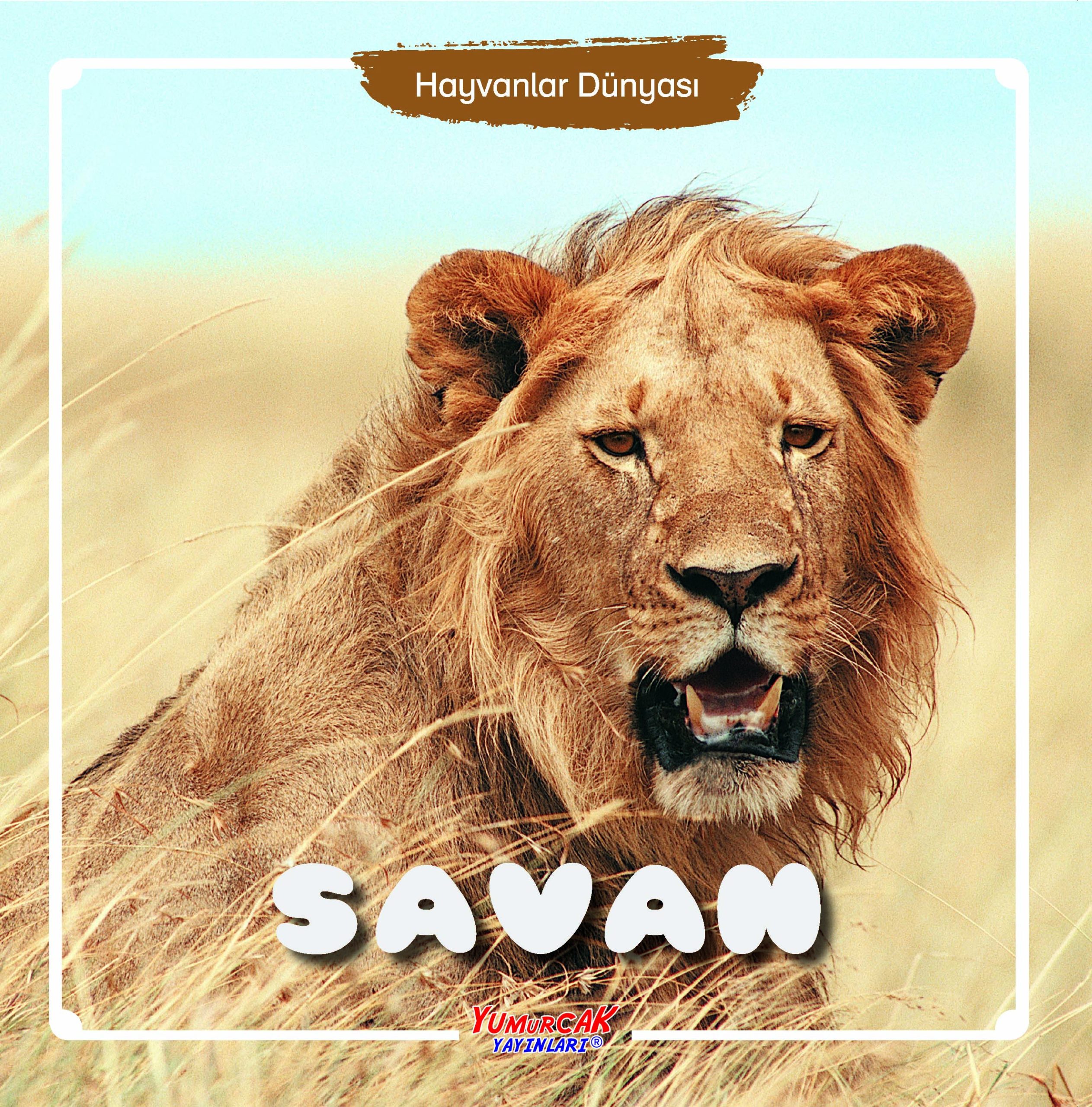 HD - Savan