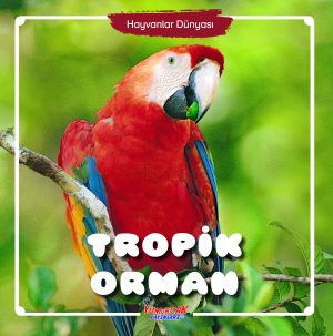 HD - Tropik orman