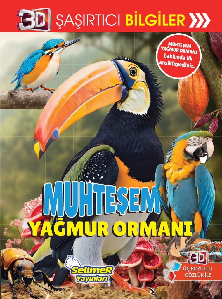 Muhteşem Yağmur Ormanı 3D