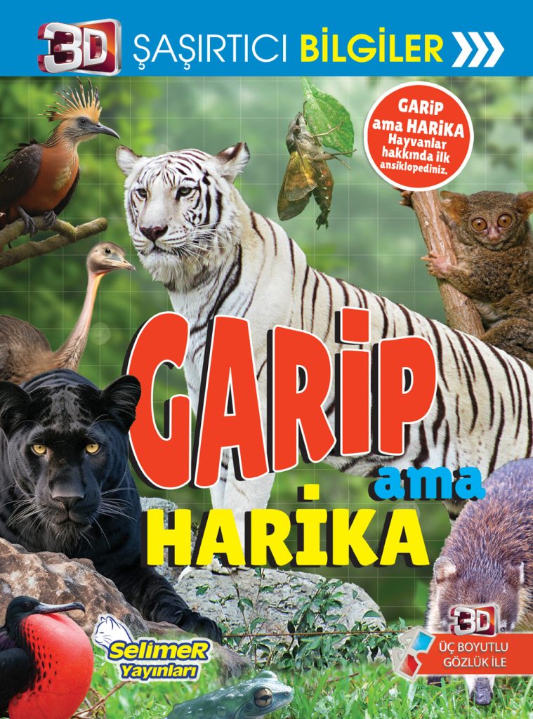 Garip Ama Harika 3D
