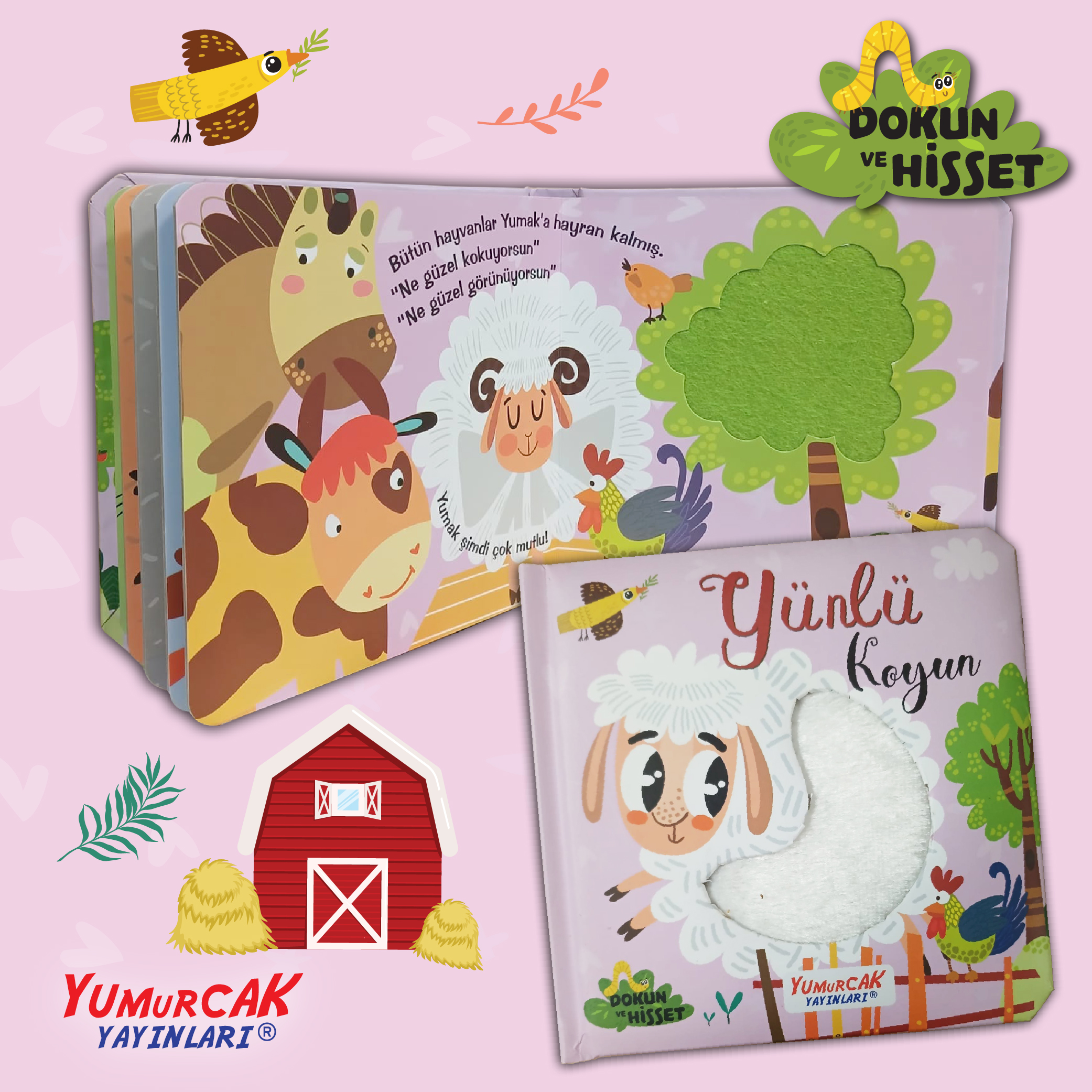 Yünlü Koyun - Dokun ve Hisset - Görsel 3