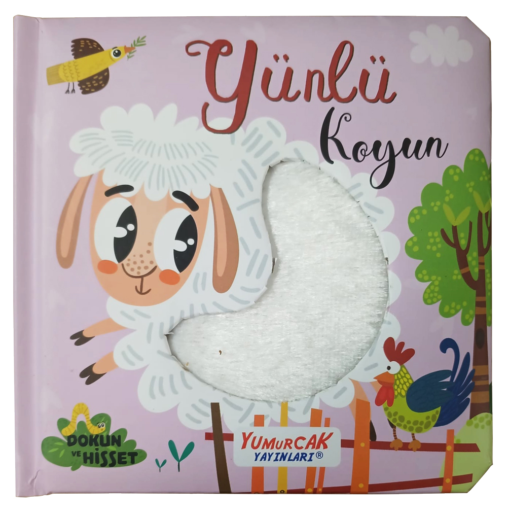Yünlü Koyun - Dokun ve Hisset
