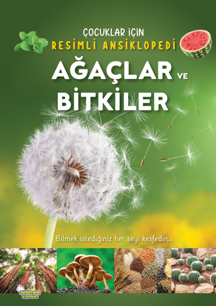 Ağaçlar ve Bitkiler / Çocuklar İçin Resimli Ansiklopedi