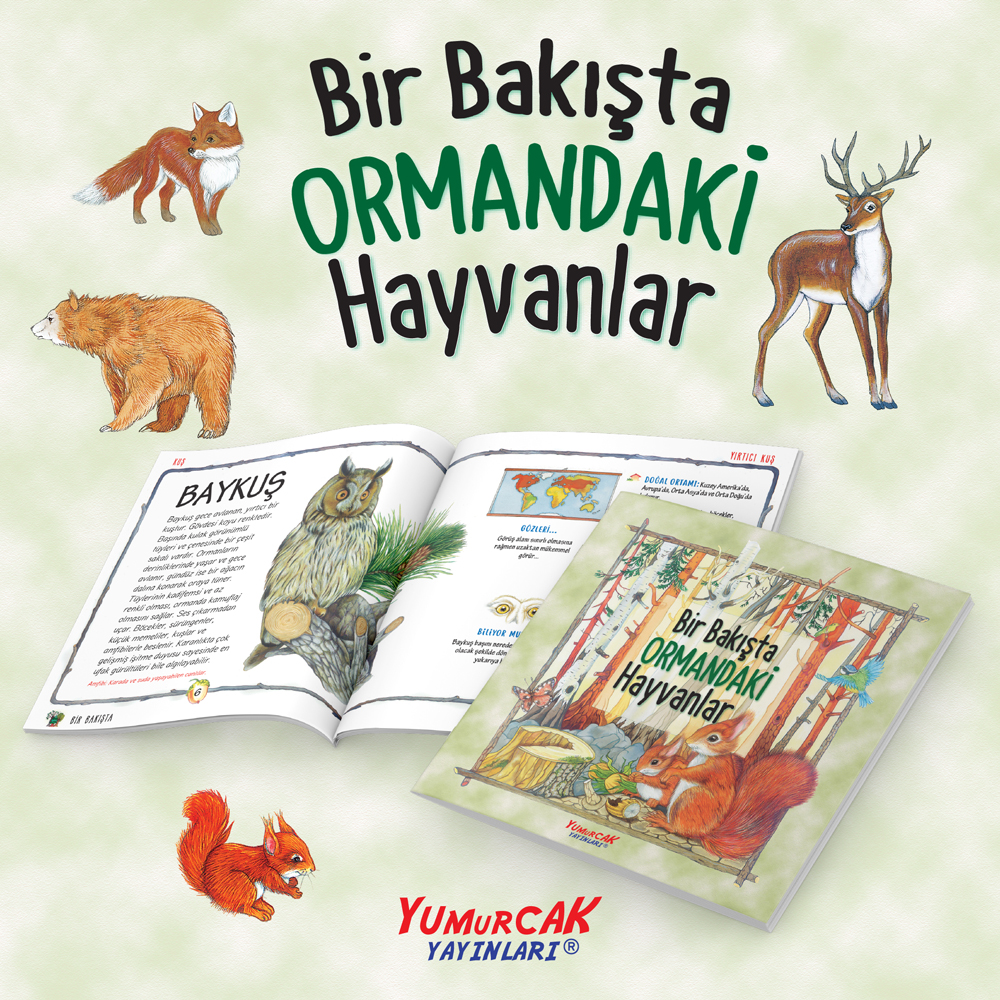 Bir Bakışta Ormandaki Hayvanlar - Görsel 2